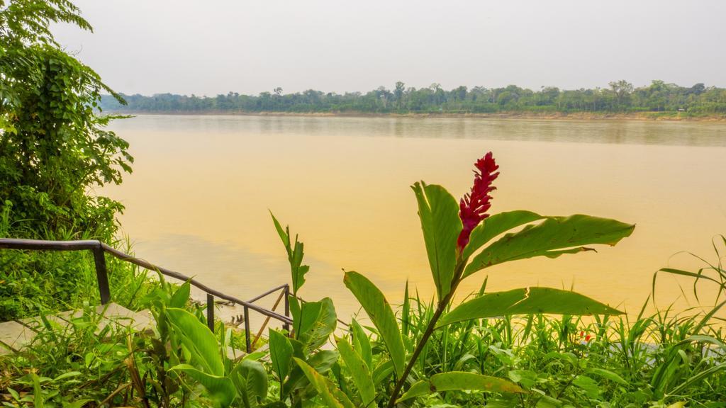 Отель Amazon Planet Тамбопата Экстерьер фото