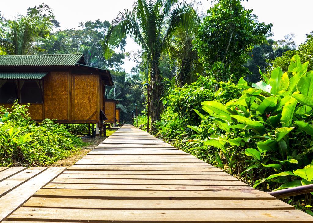 Отель Amazon Planet Тамбопата Экстерьер фото
