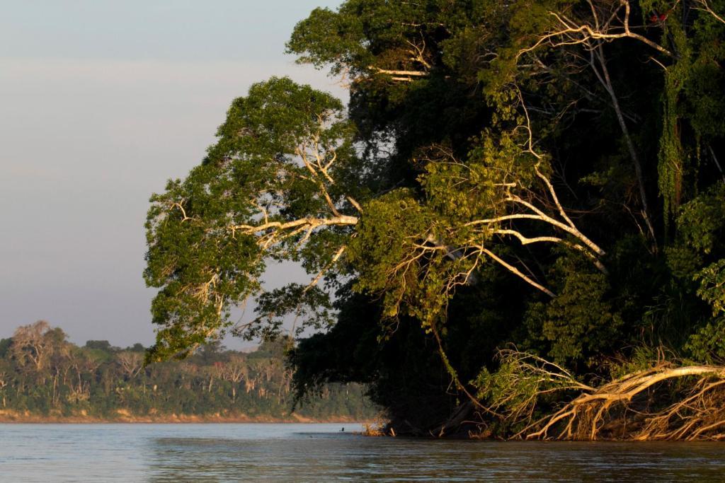 Отель Amazon Planet Тамбопата Экстерьер фото